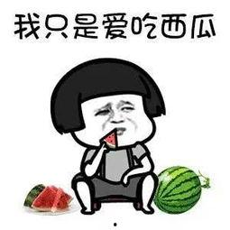 吃瓜娱乐圈动画,娱乐圈动画大揭秘